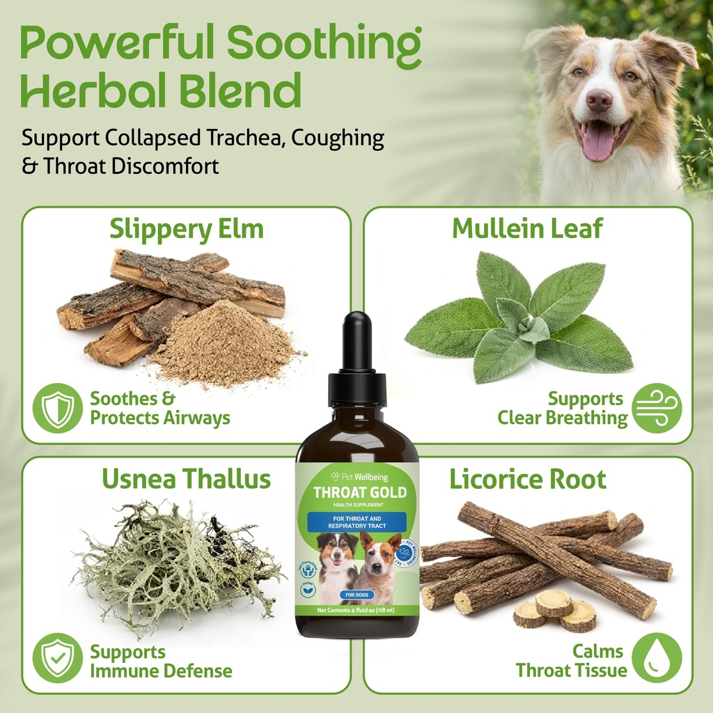 pet-wellbeing-throat-gold-for-dogs-suppo-3.jpg