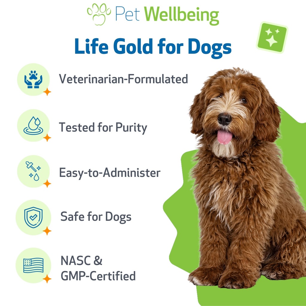 pet-wellbeing-life-gold-for-dogs-support-6.jpg
