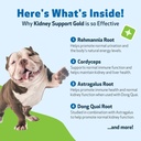 pet-wellbeing-kidney-support-gold-for-do-3.jpg