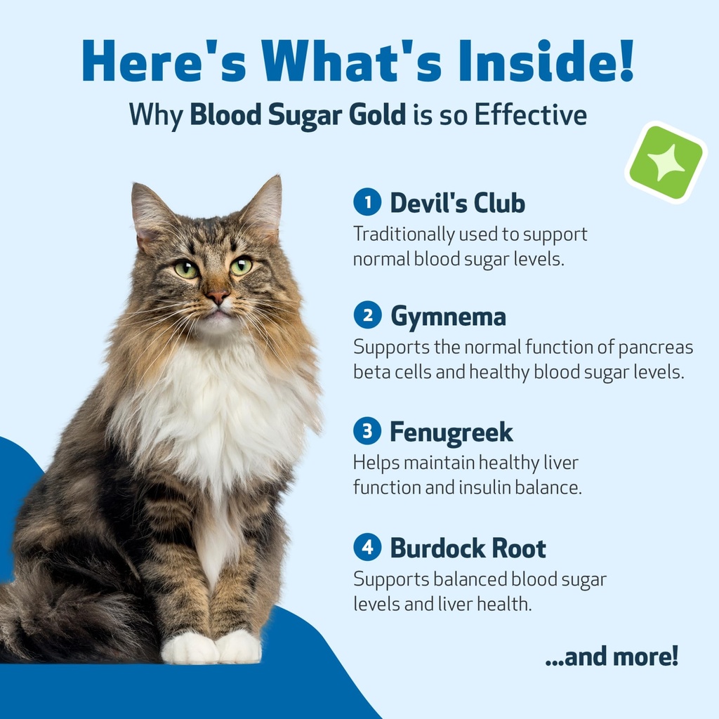 pet-wellbeing-blood-sugar-gold-for-cats--3.jpg