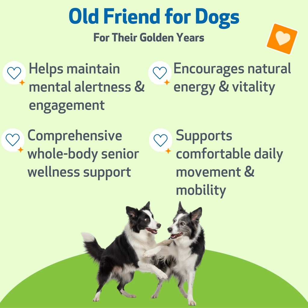 pet-wellbeing-old-friend-for-senior-dogs-2.jpg