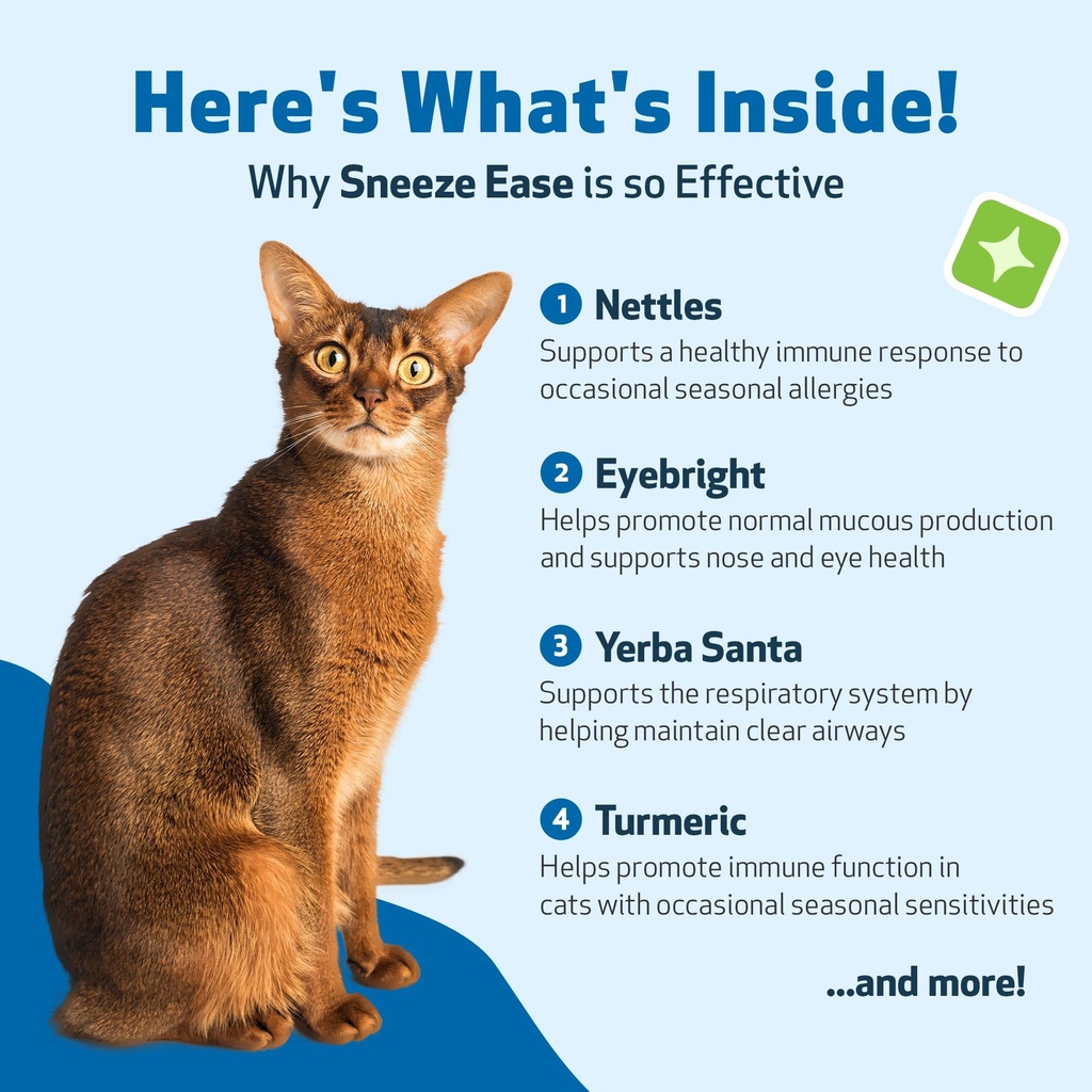pet-wellbeing-sneeze-ease-for-cats-occas-6.jpg