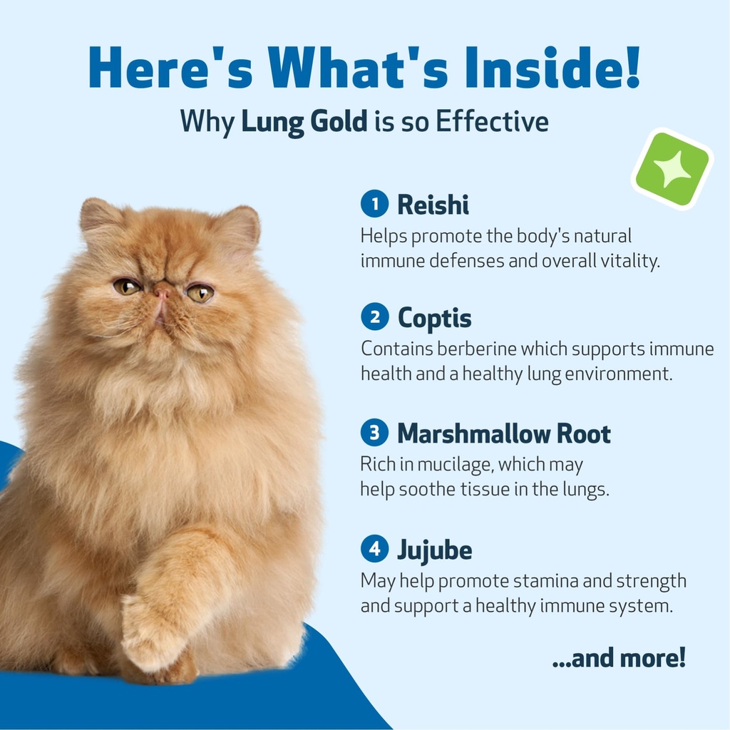 pet-wellbeing-lung-gold-for-cats-lung-im-3.jpg