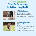 pet-wellbeing-lung-gold-for-cats-lung-im-4.jpg