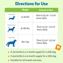 pet-wellbeing-blood-sugar-gold-dogs-holi-4.jpg