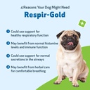 pet-wellbeing-respir-gold-for-dogs-nasc--2.jpg