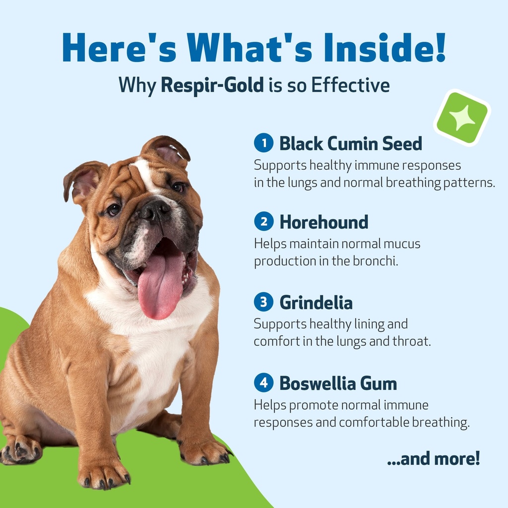 pet-wellbeing-respir-gold-for-dogs-nasc--3.jpg