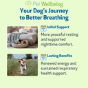 pet-wellbeing-respir-gold-for-dogs-nasc--4.jpg