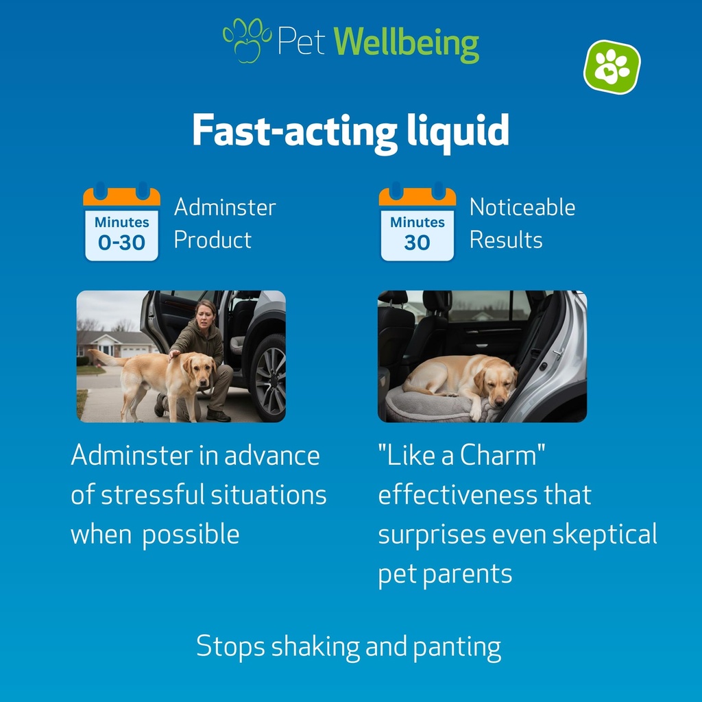 pet-wellbeing-stress-gold-for-dogs-fast--4.jpg