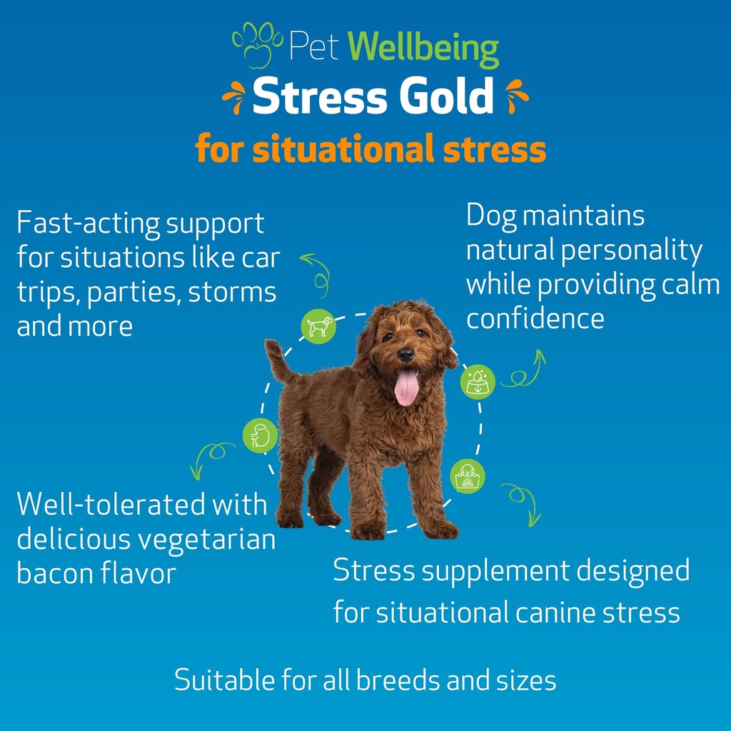pet-wellbeing-stress-gold-for-dogs-fast--2.jpg