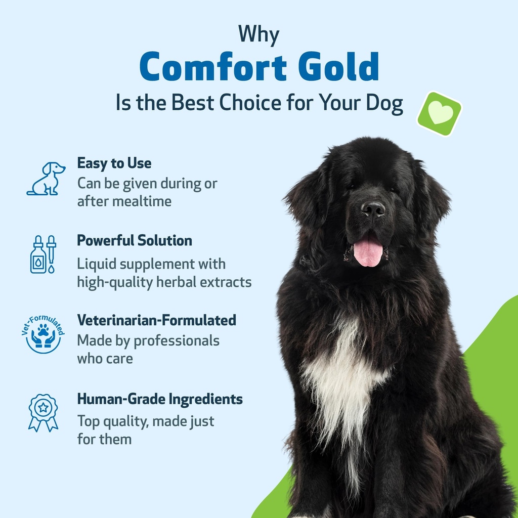 pet-wellbeing-comfort-gold-for-dogs-supp-5.jpg