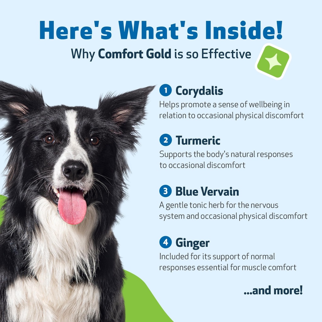 pet-wellbeing-comfort-gold-for-dogs-supp-6.jpg