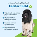 pet-wellbeing-comfort-gold-for-dogs-supp-3.jpg