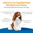 pet-wellbeing-epic-mushroom-chewies-for--3.jpg