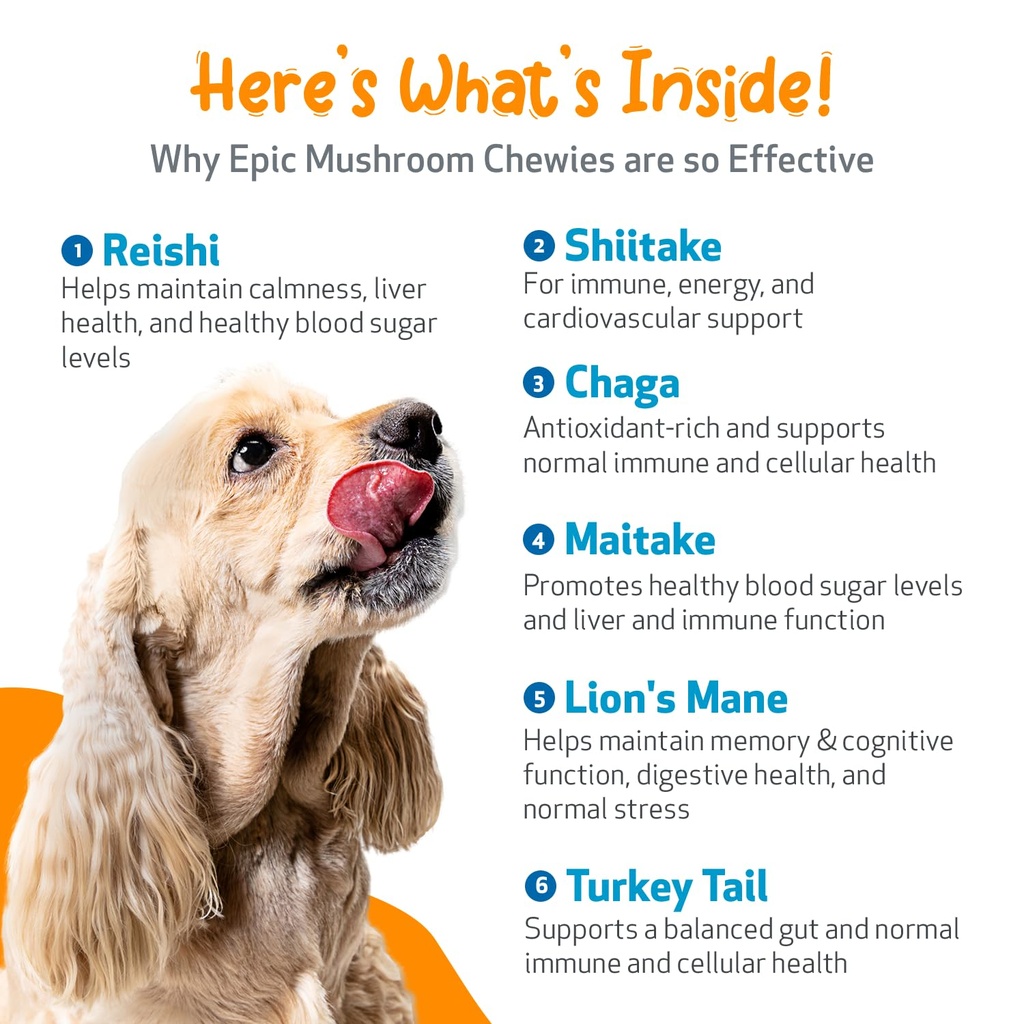 pet-wellbeing-epic-mushroom-chewies-for--5.jpg