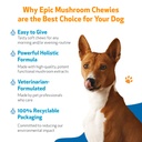 pet-wellbeing-epic-mushroom-chewies-for--4.jpg