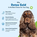 pet-wellbeing-detox-gold-for-dogs-gentle-5.jpg