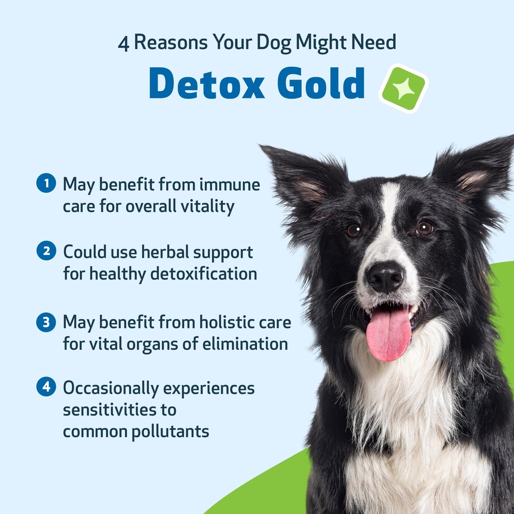 pet-wellbeing-detox-gold-for-dogs-gentle-3.jpg