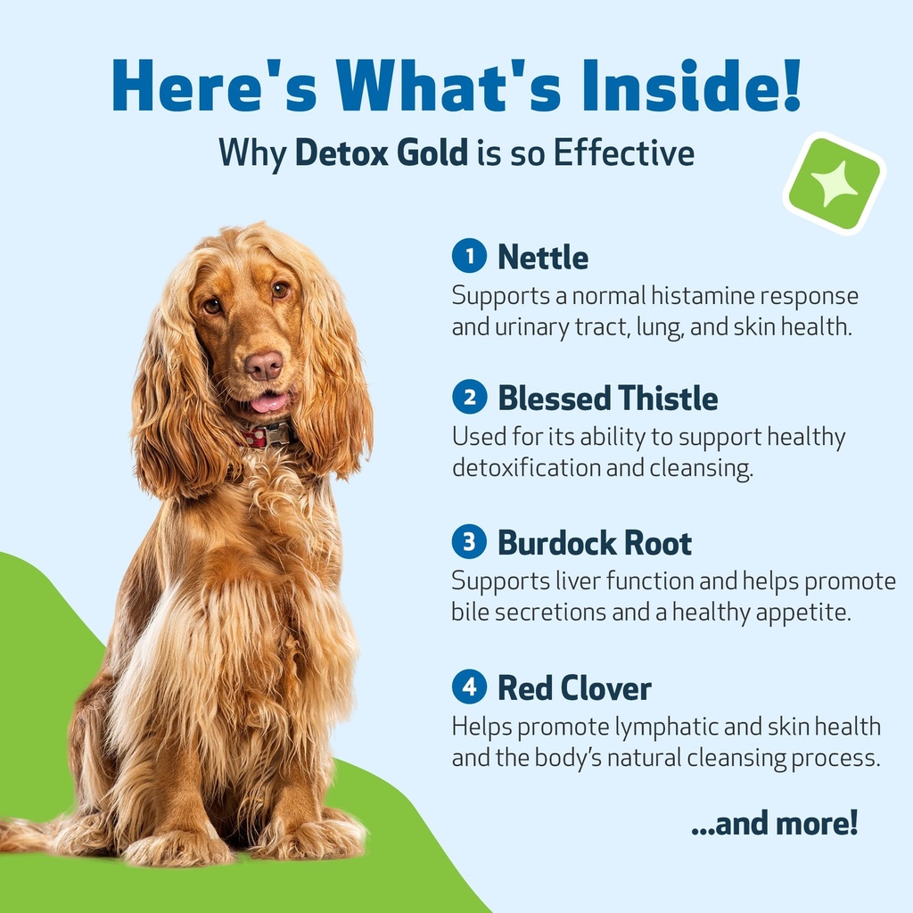pet-wellbeing-detox-gold-for-dogs-gentle-6.jpg