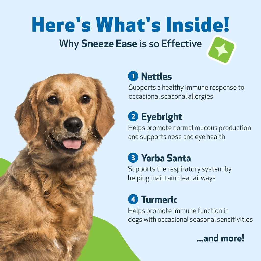 pet-wellbeing-sneeze-ease-for-dogs-occas-6.jpg
