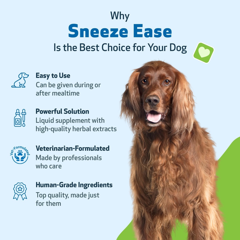 pet-wellbeing-sneeze-ease-for-dogs-occas-5.jpg