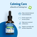 pet-wellbeing-calming-care-for-cats-vet--4.jpg