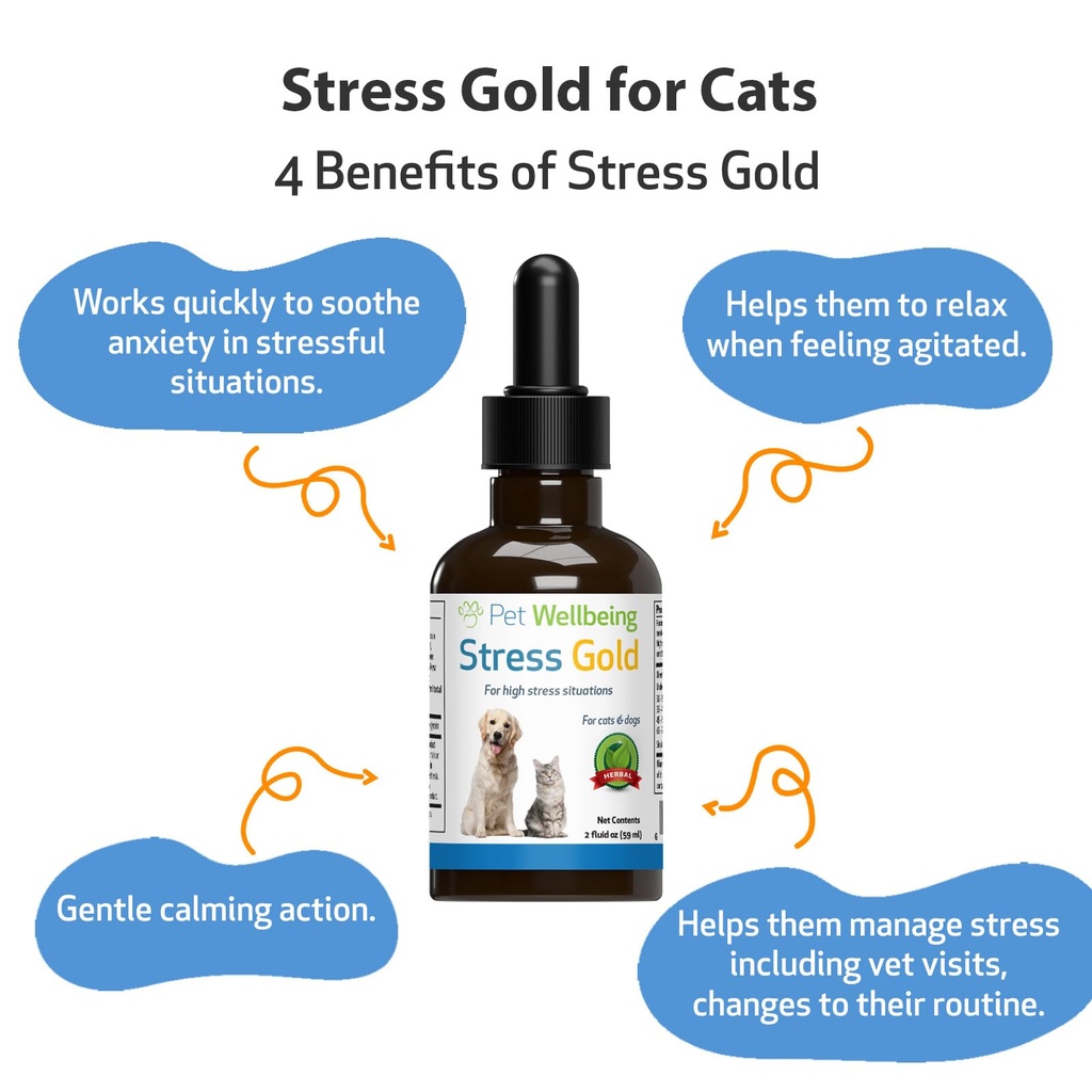 pet-wellbeing-stress-gold-for-cats-vet-f-4.jpg
