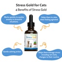 pet-wellbeing-stress-gold-for-cats-vet-f-4.jpg