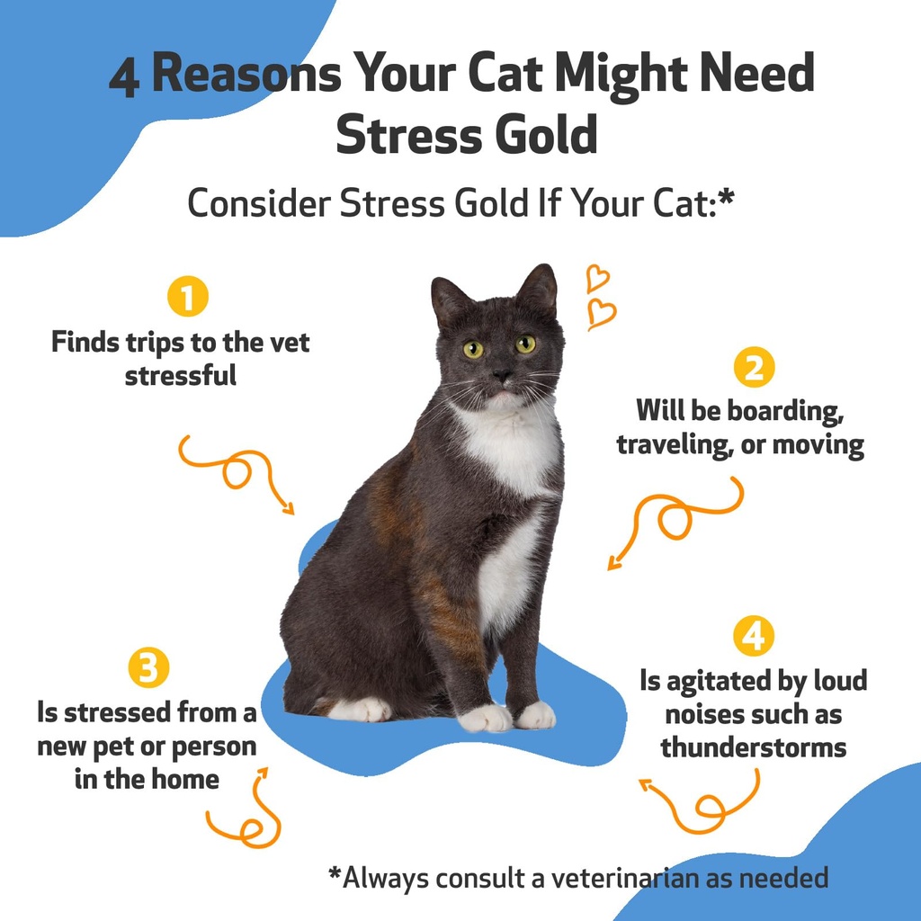pet-wellbeing-stress-gold-for-cats-vet-f-3.jpg