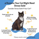 pet-wellbeing-stress-gold-for-cats-vet-f-3.jpg
