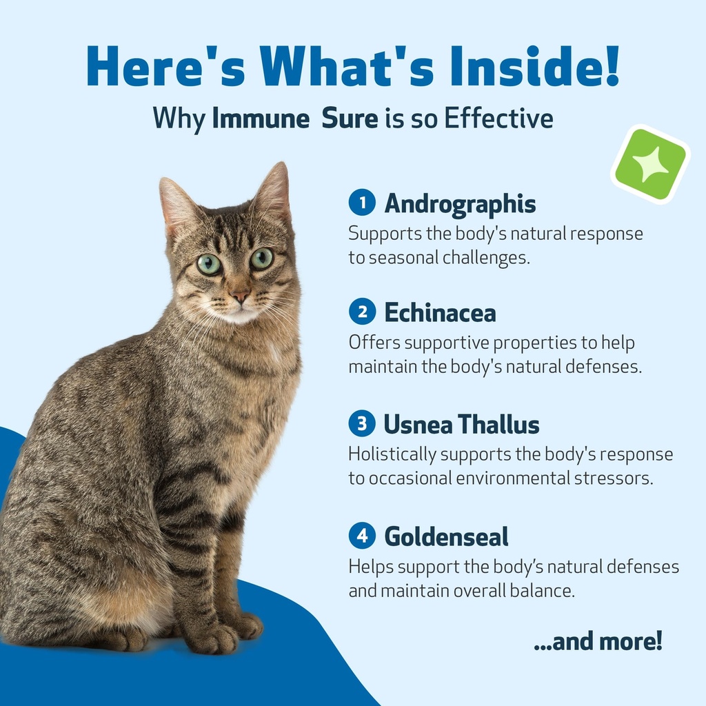 pet-wellbeing-immune-sure-for-cats-suppo-6.jpg