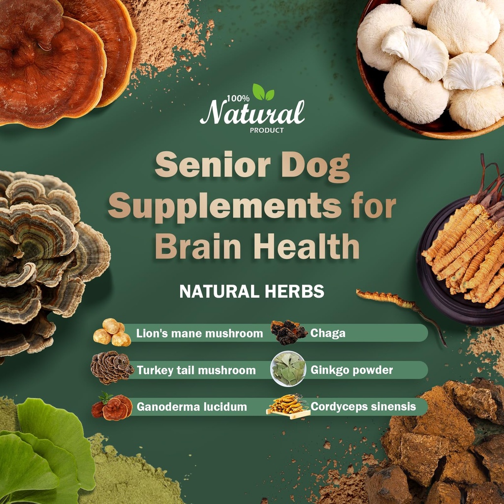 senior-dog-supplements-for-brain-health--2.jpg
