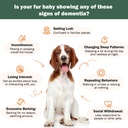 senior-dog-supplements-for-brain-health--3.jpg