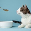the-missing-link-pet-kelp-feline-well-be-2.jpg