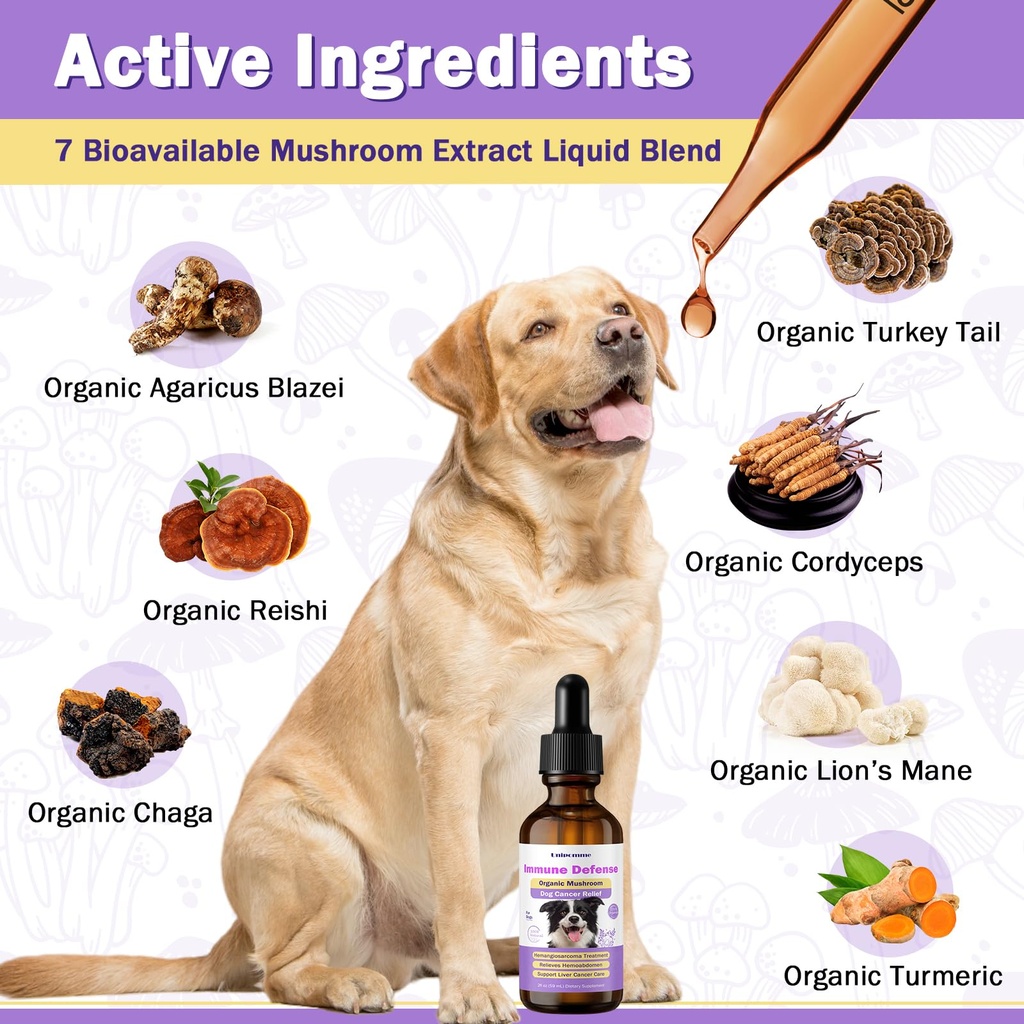 dog-cancer-supplements-pet-critical-guar-4.jpg