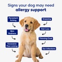 allergy-immune-support-chews-for-dogs-as-3.jpg