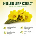 mullein-lung-cough-drops-for-dogs-cats-c-2.jpg