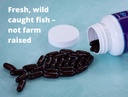 heyedrate-eye-love-omega-3-fish-oil-supp-6.jpg
