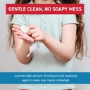 wipeessentials-hand-sanitizer-wipes-for--6.jpg