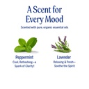 dr-bronner-s-organic-hand-sanitizer-spra-4.jpg
