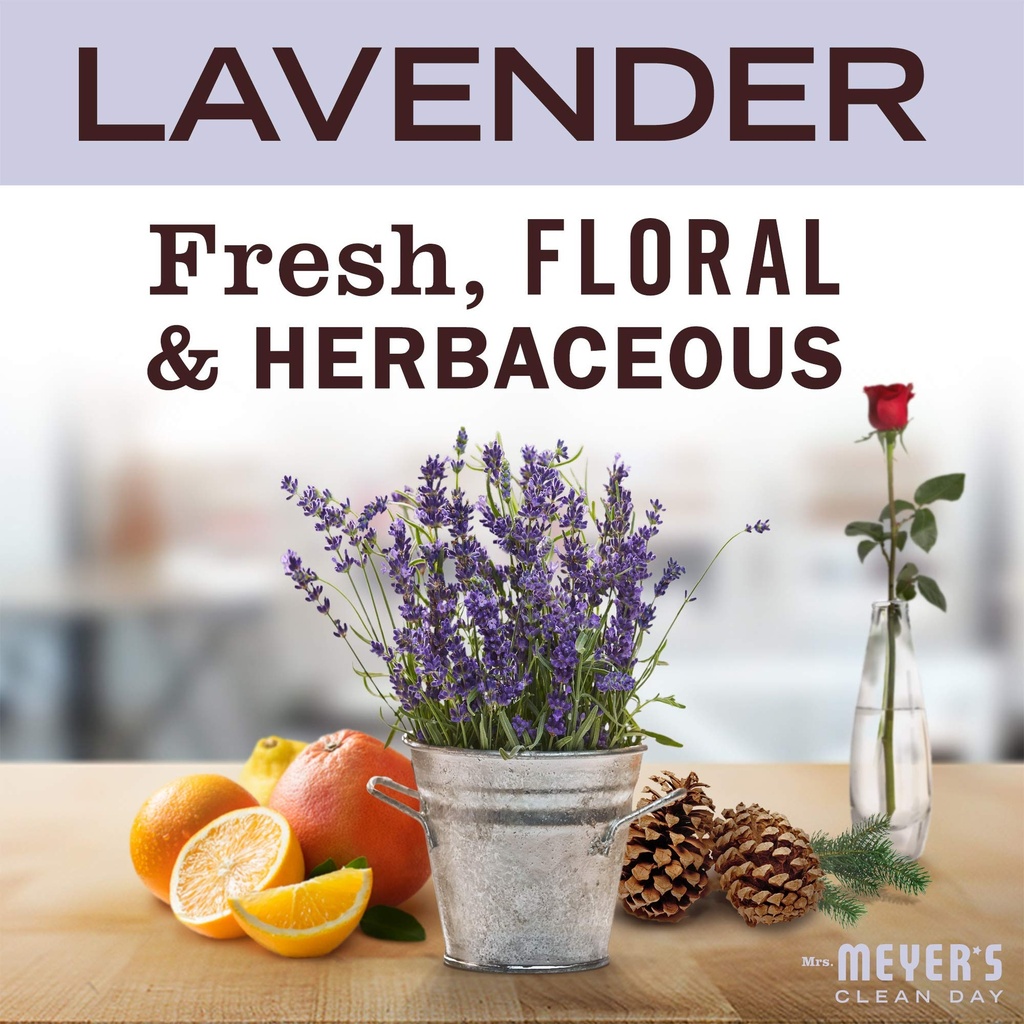 mrs-meyer-s-clean-day-antibacterial-hand-3.jpg