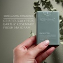 noshinku-refillable-hand-sanitizer-eucal-3.jpg