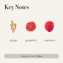 lafco-new-york-hand-sanitizer-champagne--4.jpg