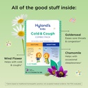 hyland-s-kids-cold-and-cough-day-and-nig-3.jpg