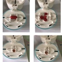 pill-cutter-1-4-divider-1-2-divider-stur-2.jpg
