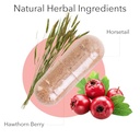 kroeger-herb-circu-flow-holistic-heart-s-5.jpg