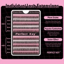 30d-40d-individual-lash-clusters-d-curl--3.jpg