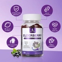 120-gummies-sambucus-elderberry-gummies--6.jpg
