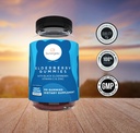 sunergetic-premium-black-elderberry-gumm-4.jpg