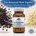 pure-mountain-botanicals-elderberry-caps-3.jpg